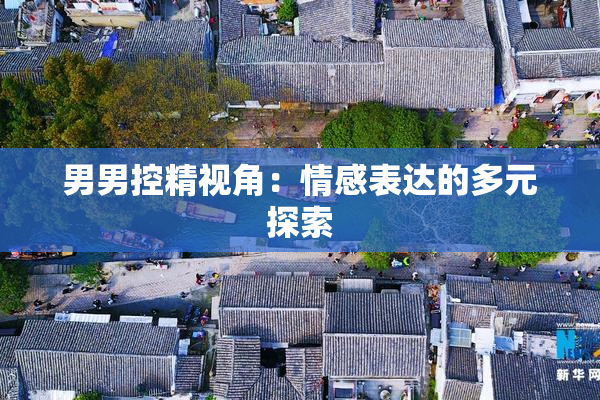 男男控精视角：情感表达的多元探索