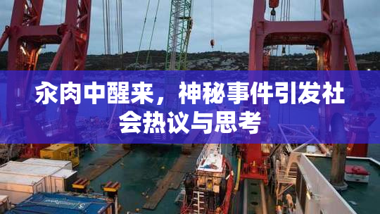 汆肉中醒来，神秘事件引发社会热议与思考