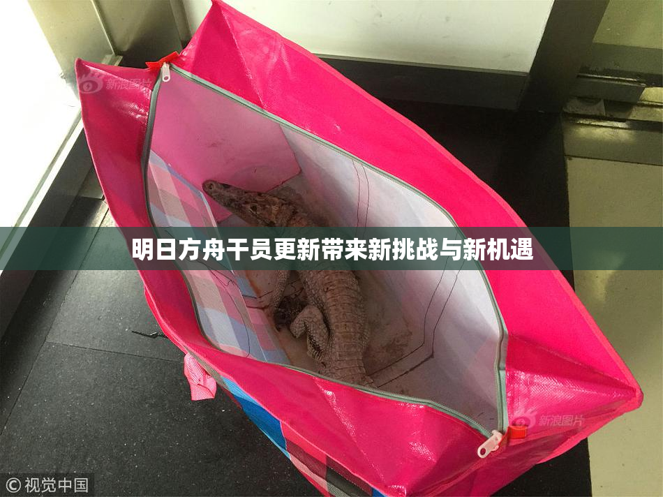 明日方舟干员更新带来新挑战与新机遇