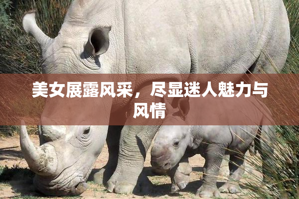 美女展露风采，尽显迷人魅力与风情