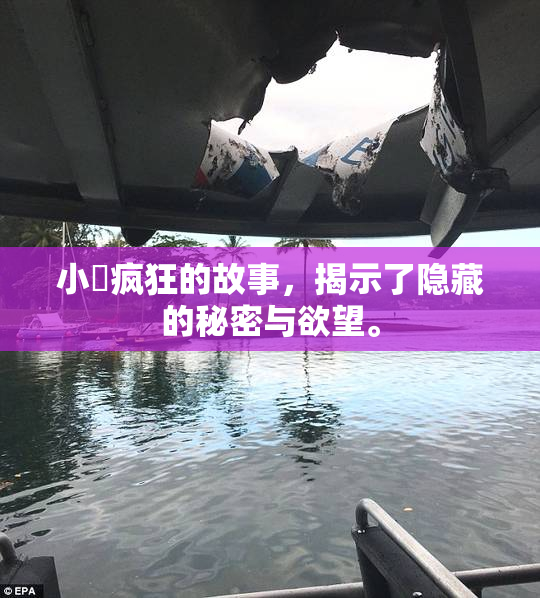 小泬疯狂的故事，揭示了隐藏的秘密与欲望。