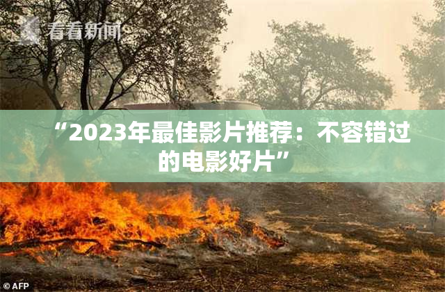 “2023年最佳影片推荐：不容错过的电影好片”