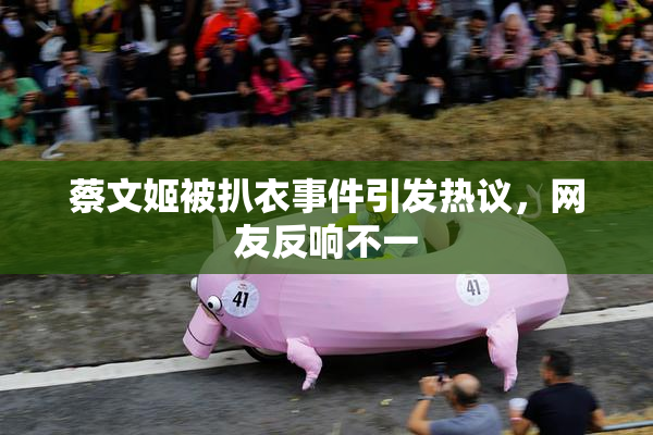 蔡文姬被扒衣事件引发热议，网友反响不一