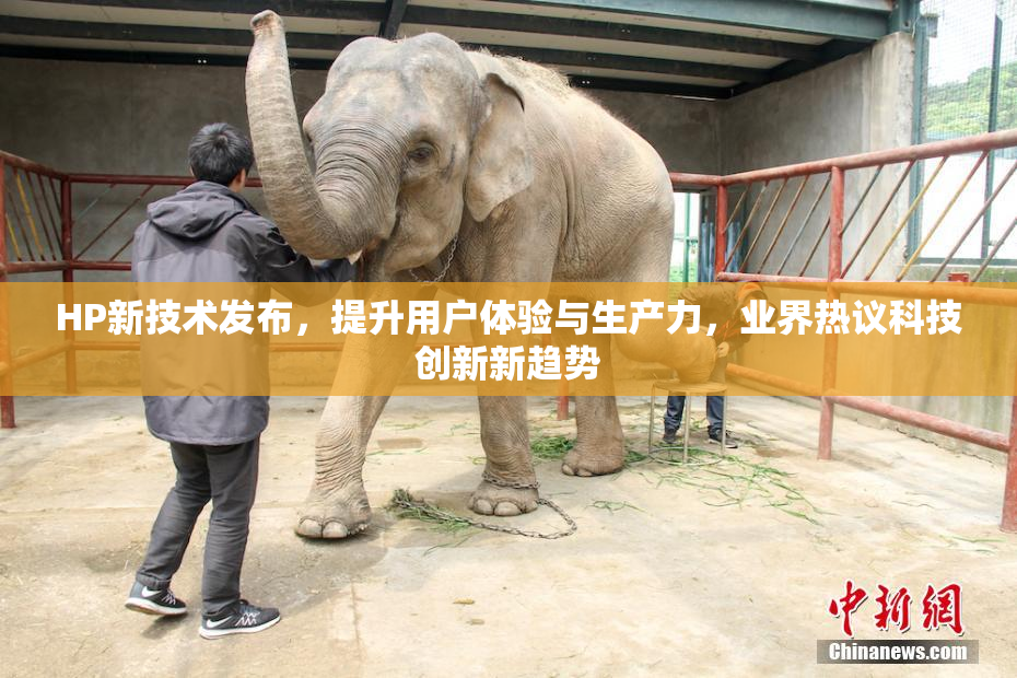 HP新技术发布，提升用户体验与生产力，业界热议科技创新新趋势