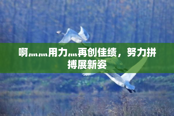 啊灬灬用力灬再创佳绩，努力拼搏展新姿