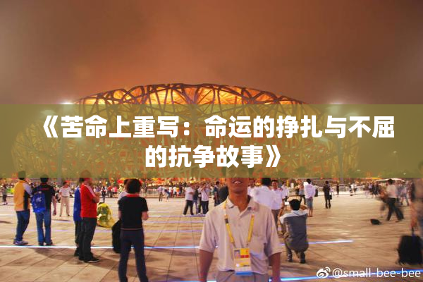 《苦命上重写：命运的挣扎与不屈的抗争故事》