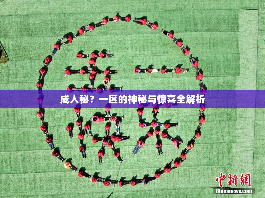 成人秘？一区的神秘与惊喜全解析