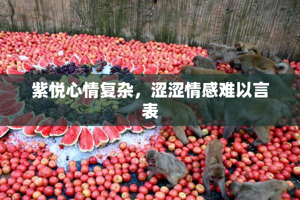 紫悦心情复杂，涩涩情感难以言表