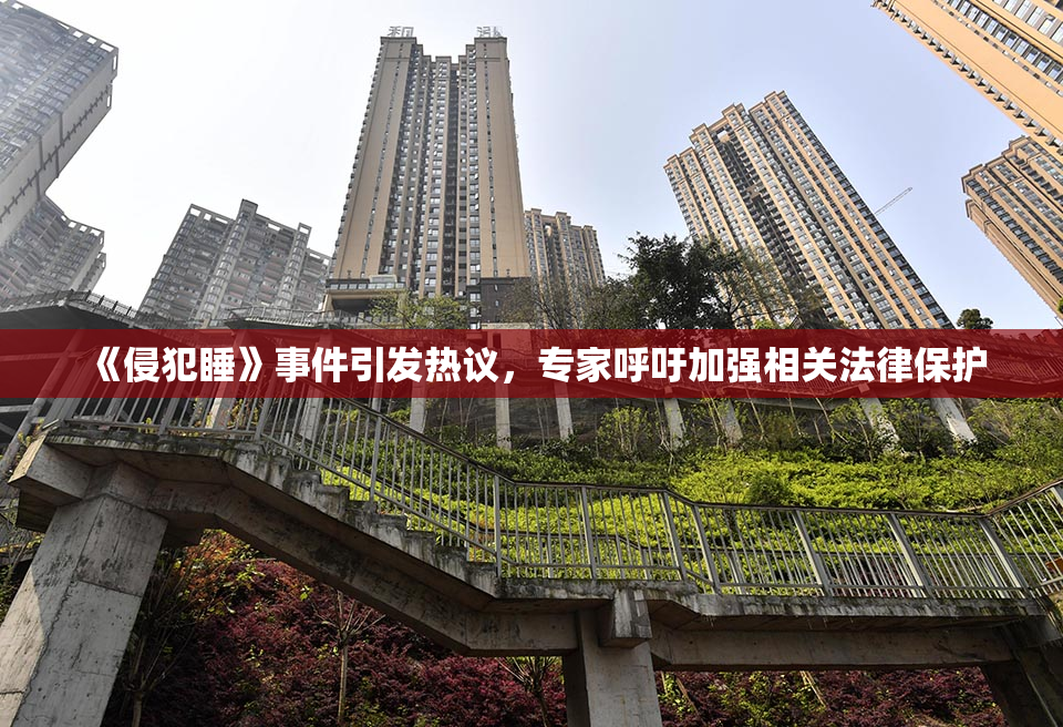 《侵犯睡》事件引发热议，专家呼吁加强相关法律保护