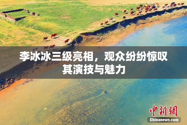 李冰冰三级亮相，观众纷纷惊叹其演技与魅力