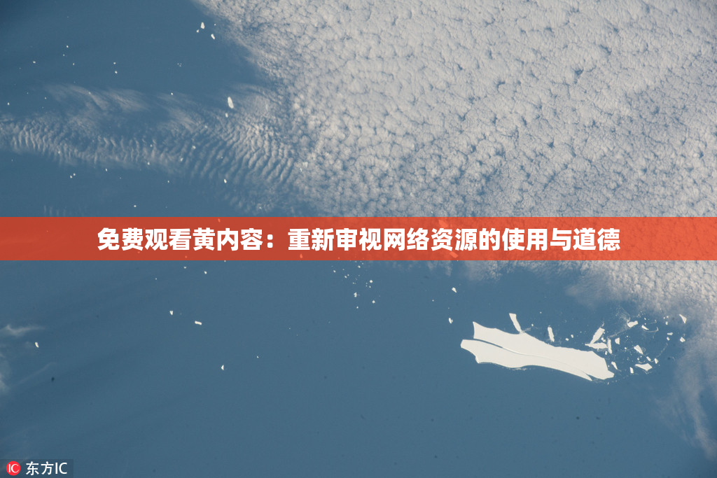 免费观看黄内容：重新审视网络资源的使用与道德