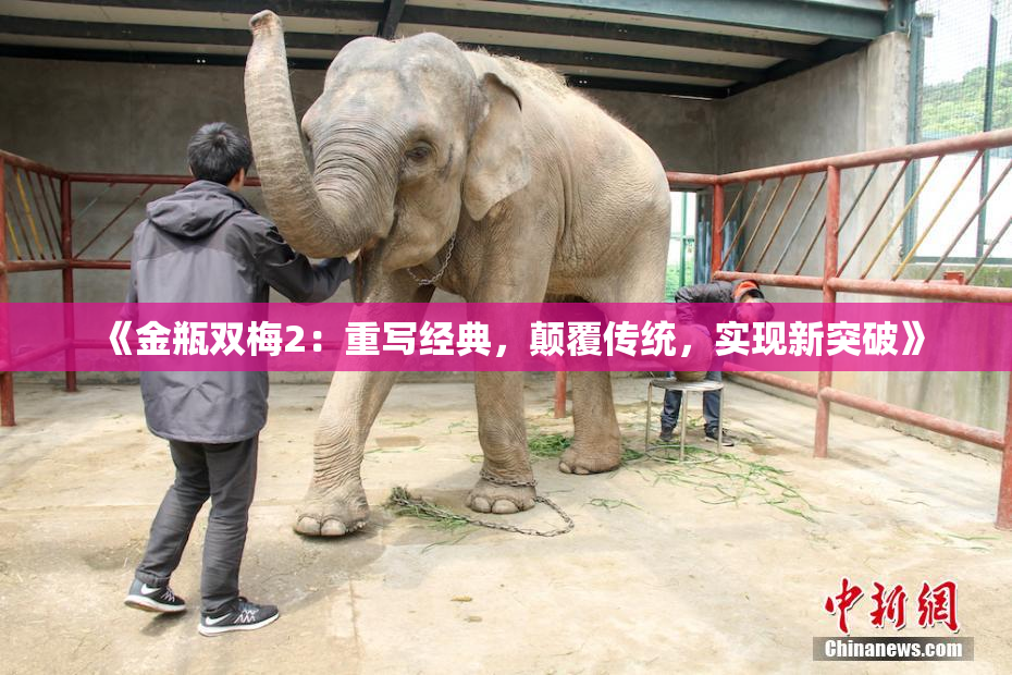 《金瓶双梅2：重写经典，颠覆传统，实现新突破》