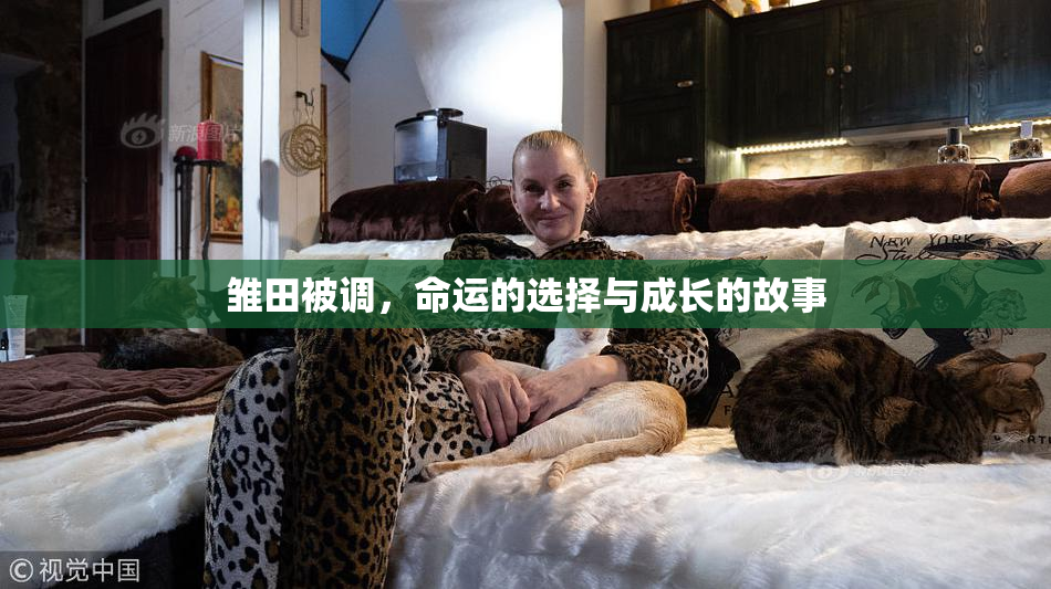 雏田被调，命运的选择与成长的故事