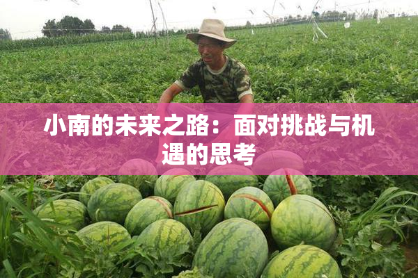 小南的未来之路：面对挑战与机遇的思考
