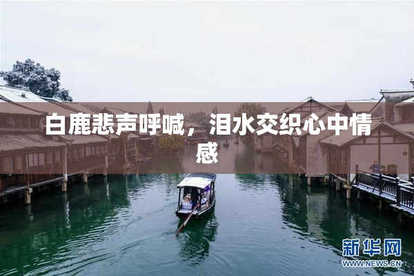 白鹿悲声呼喊，泪水交织心中情感