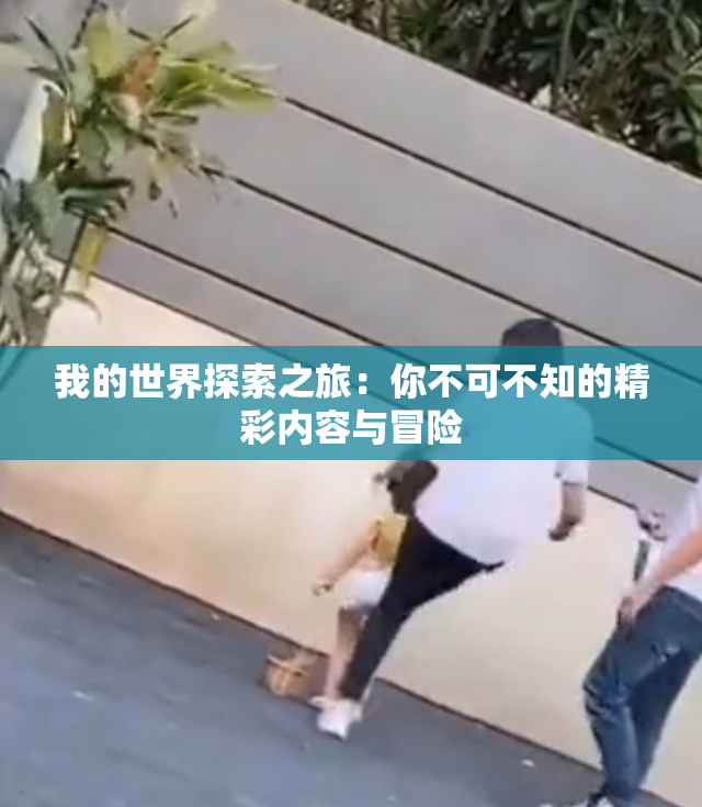 我的世界探索之旅：你不可不知的精彩内容与冒险