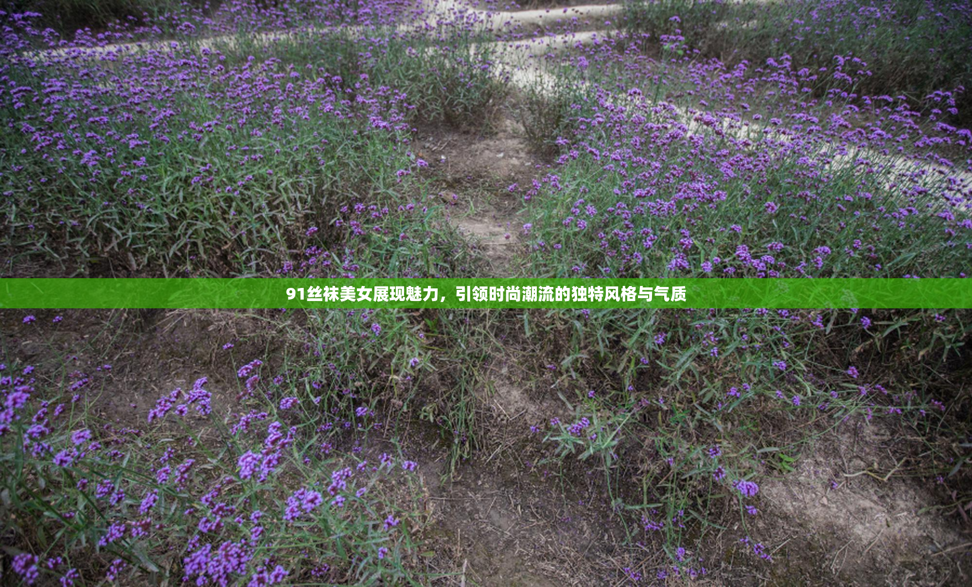 91丝袜美女展现魅力，引领时尚潮流的独特风格与气质