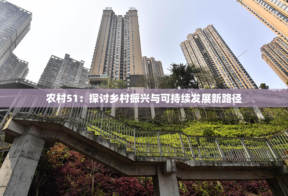 农村51：探讨乡村振兴与可持续发展新路径