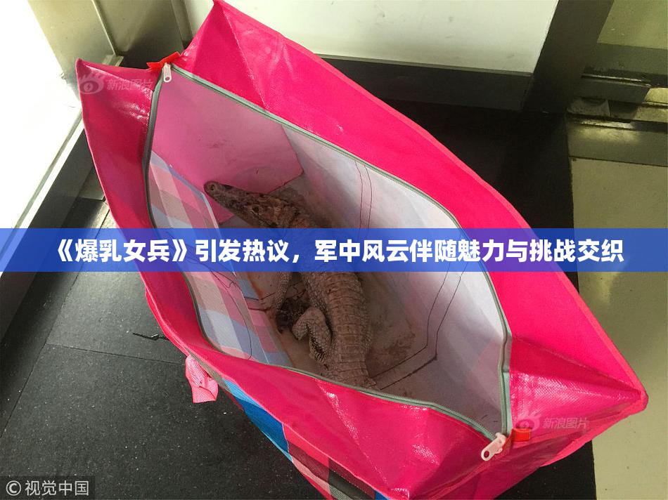 《爆乳女兵》引发热议，军中风云伴随魅力与挑战交织