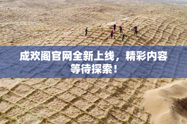 成欢阁官网全新上线，精彩内容等待探索！