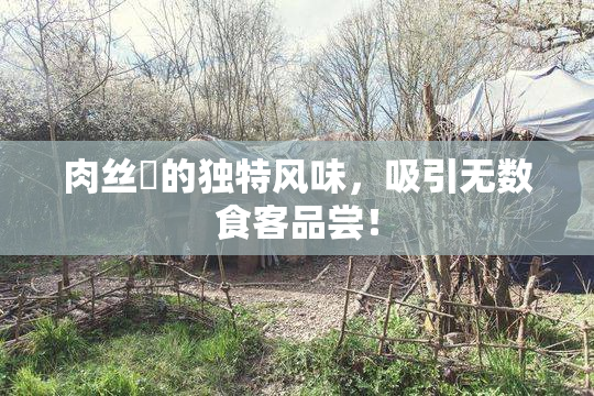 肉丝祙的独特风味，吸引无数食客品尝！