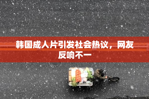韩国成人片引发社会热议，网友反响不一