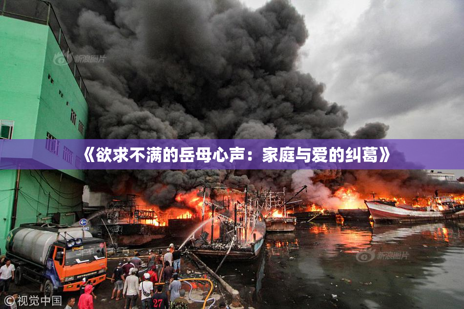 《欲求不满的岳母心声：家庭与爱的纠葛》
