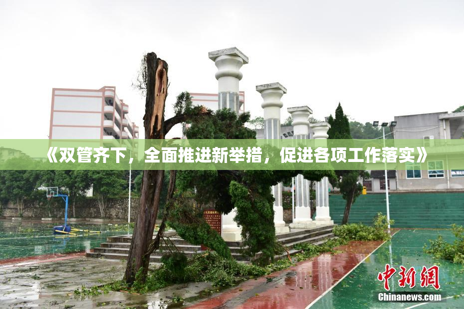 《双管齐下，全面推进新举措，促进各项工作落实》