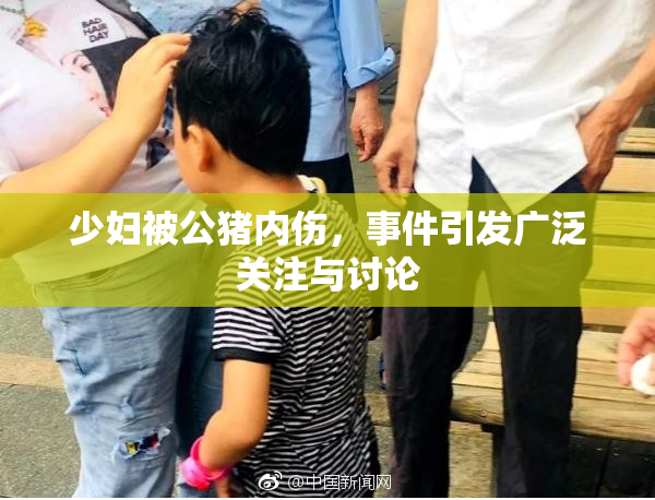 少妇被公猪内伤，事件引发广泛关注与讨论