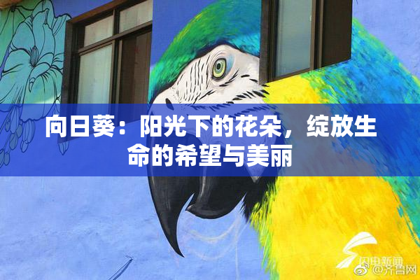 向日葵：阳光下的花朵，绽放生命的希望与美丽