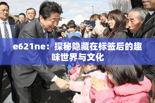 e621ne：探秘隐藏在标签后的趣味世界与文化