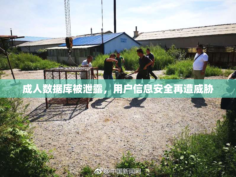 成人数据库被泄露，用户信息安全再遭威胁
