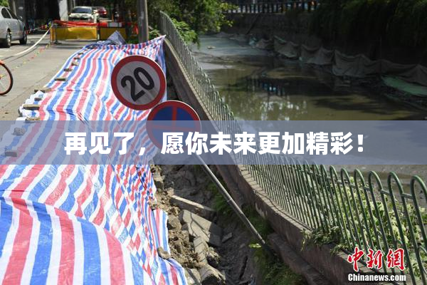 再见了，愿你未来更加精彩！