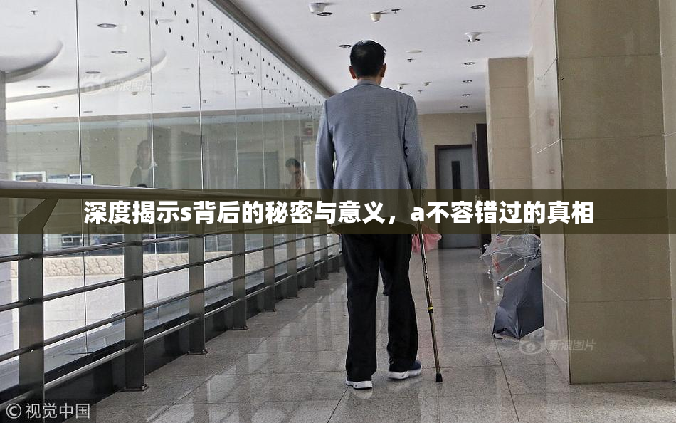 深度揭示s背后的秘密与意义，a不容错过的真相