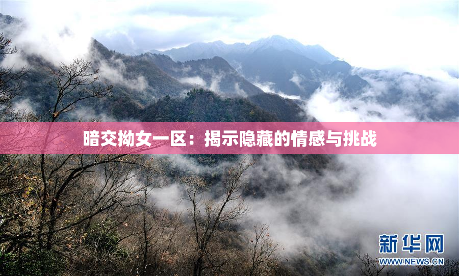 暗交拗女一区：揭示隐藏的情感与挑战