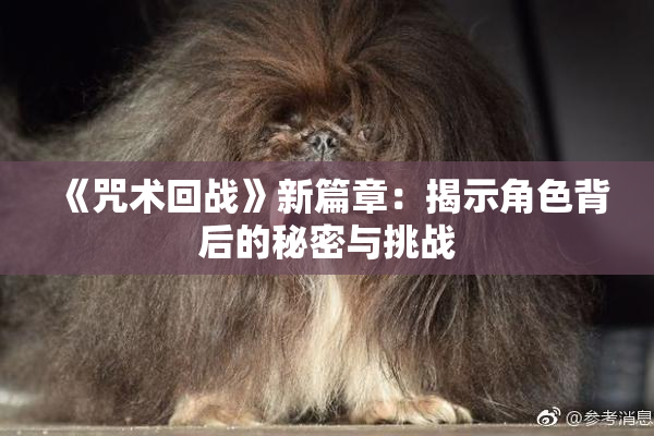 《咒术回战》新篇章：揭示角色背后的秘密与挑战
