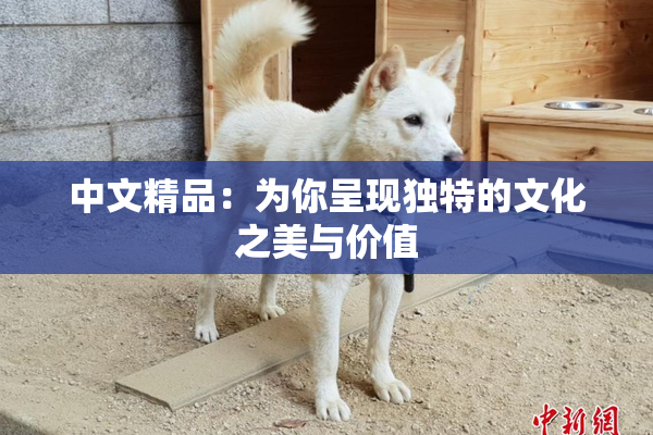 中文精品：为你呈现独特的文化之美与价值