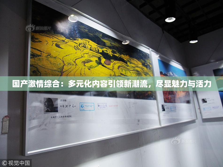 国产激情综合：多元化内容引领新潮流，尽显魅力与活力