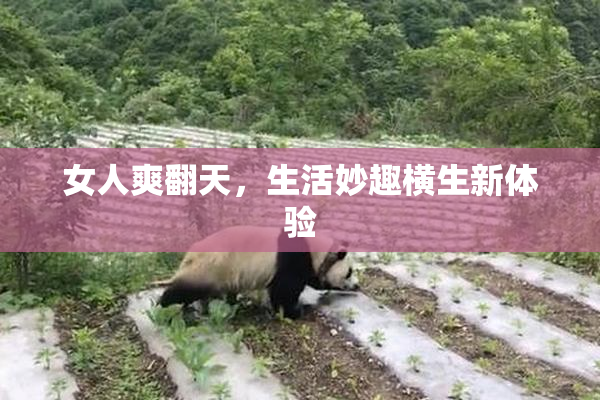 女人爽翻天，生活妙趣横生新体验