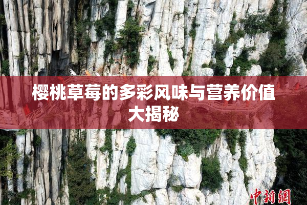 樱桃草莓的多彩风味与营养价值大揭秘
