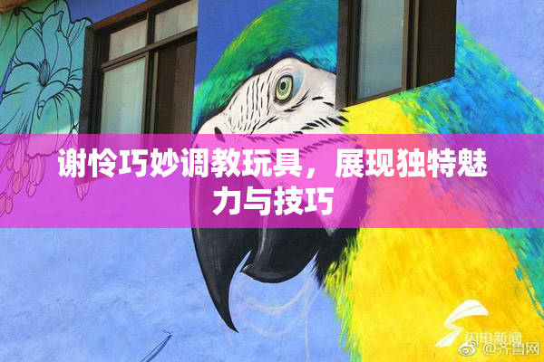 谢怜巧妙调教玩具，展现独特魅力与技巧