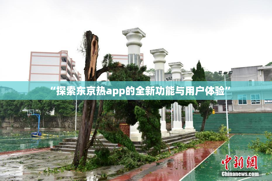 “探索东京热app的全新功能与用户体验”