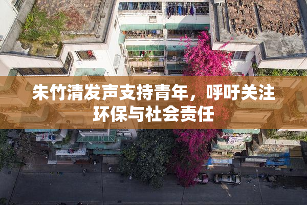 朱竹清发声支持青年，呼吁关注环保与社会责任