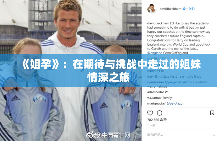 《姐孕》：在期待与挑战中走过的姐妹情深之旅