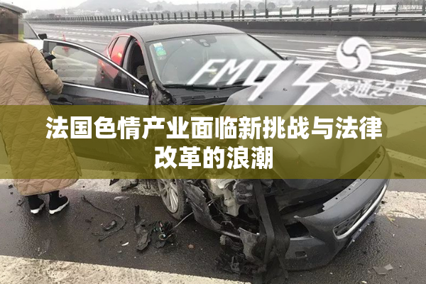 法国色情产业面临新挑战与法律改革的浪潮