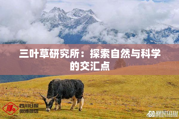 三叶草研究所：探索自然与科学的交汇点