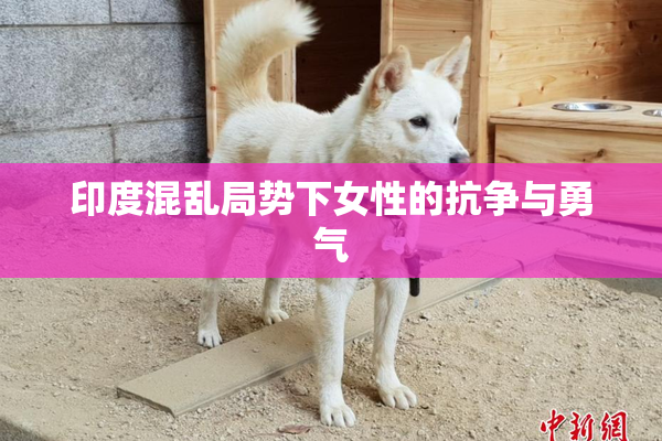 印度混乱局势下女性的抗争与勇气