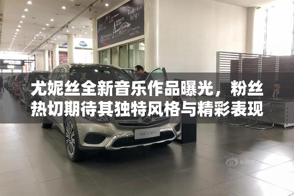 尤妮丝全新音乐作品曝光，粉丝热切期待其独特风格与精彩表现。