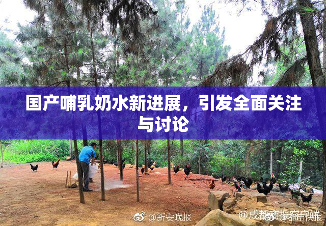 国产哺乳奶水新进展，引发全面关注与讨论