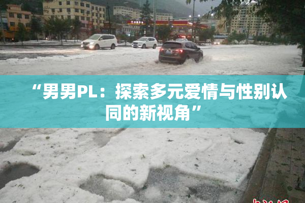 “男男PL：探索多元爱情与性别认同的新视角”